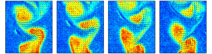 Simultaneous measure of velocity and temperature behind a cylinder